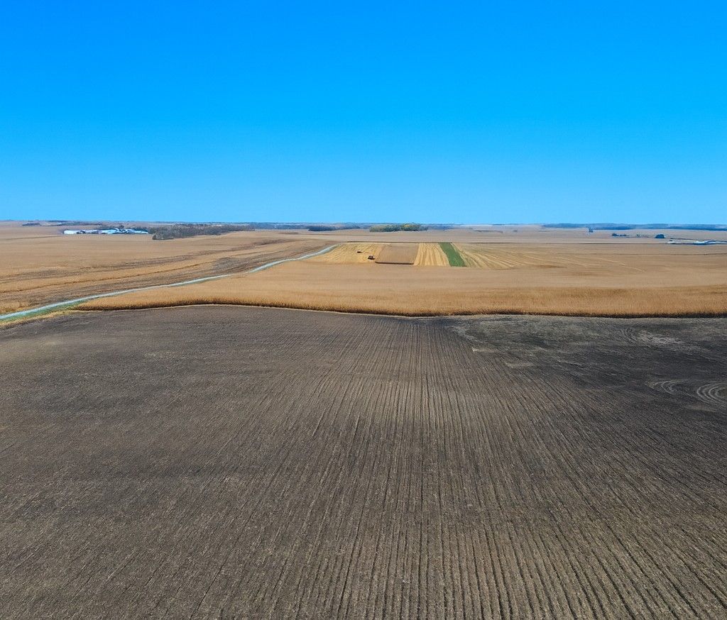 Listing Photo: 80.39 acre near Walters, MN - Faribault County